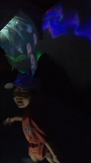 【白山恐竜パーク白峰】光と音のトンネルがすごい！親子で楽しむ恐竜ワールド体験Vlog #休日の過ごし方 #おでかけvlog #5歳