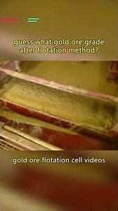 How does gold froth flotation cell machine work?