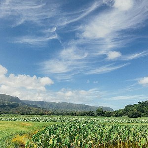 The Incredible Myths and Legends of Hawaii