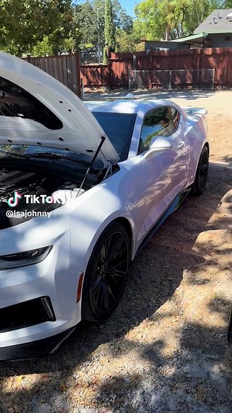 Supercharger Whine: Choose Your Ultimate Ride