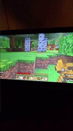 The only reason I got an Xbox Ally X!