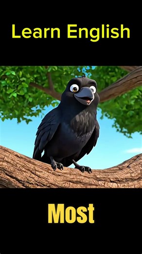 Crow | One of the most Intelligent Birds in the Word | Learn English #englishvocabulary