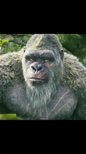 amazing movies 🎬 #viral #fouryou #amazing #unfreezemyaccount | movies