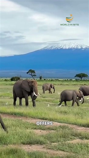 Mount Kilimanjaro Summit – Tanzania #travel #facts #amerika
