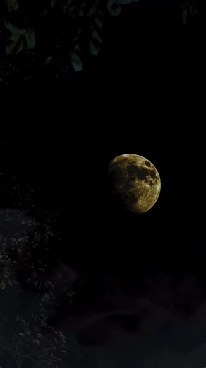 💥 TRAILER DROP! Is she a fantasy… or a monster? 🎬 Babae sa Bintana — a seductive horror micro drama you won’t forget. 🔥 Starring Will Ashley & Andrea Torres! 👉 Streaming on November 27 exclusively on BingoPLUS! | Sparkle GMA Artist Center