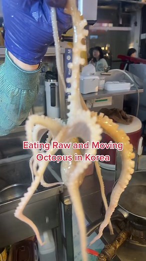 Eating Fresh and Raw Live Octopus in Korea