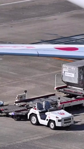 JALの貨物の世界をご紹介！ #JALCARGO #cargo #airplane #JAL #日本航空 #japanairlines #airline