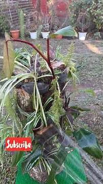 DIY Rustic Wood Log Garden Centerpiece #garden ideas #garden