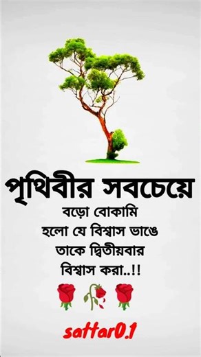 Pithibir sobcheye bro bokami Holo je#islamic#short #sattar0 .1