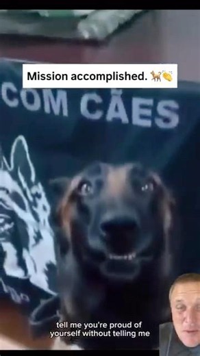 This police K9 had one job… and absolutely crushed it.