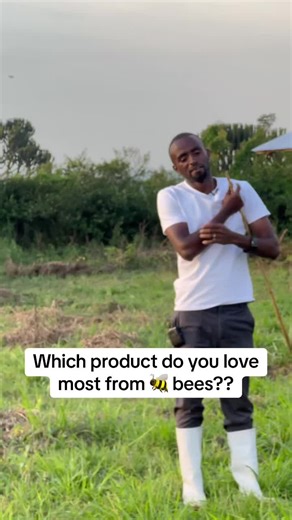 Value of Bee Products Explained