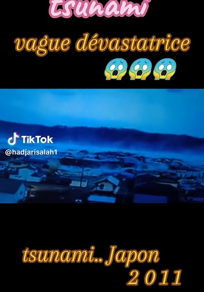 Tsunami en Japón: Impacto y Consecuencias de 2021