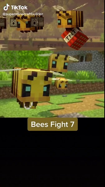 Minecrafter world on TikTok