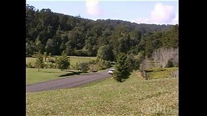6.1K views · 67 reactions | This is an 8 minute 30 seconds video. I am very fortunate to have been given permission by TVNZ to include part of one of their 1966 series, "The Tall Trees and The Gold" in this video that includes the Maxwell Cottage. | Photos of the Kauri Coast and Kaipara | Facebook