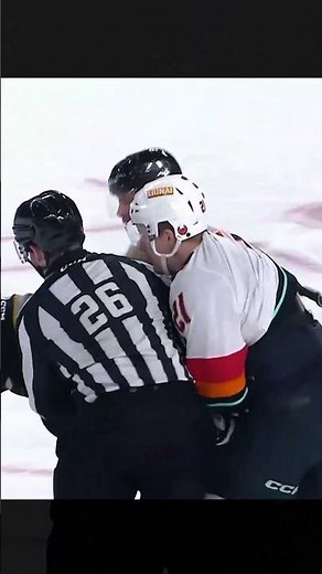 Can't Get Enough In This AHL Fight!
