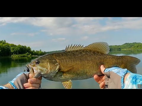 RIGGING a Nikko Hellgrammite for CATCHING More Fish?