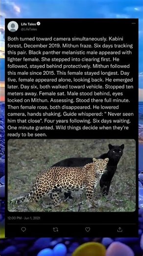 📸⏳ Photographer Waited 8 Years… Then THIS Happened! #EpicMoment #PatiencePaysOff #ViralShorts