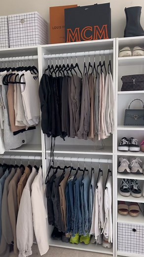 DIY BUILT IN CLOSET UNDER $250. Here is what you need ⬇️ Supplies: • $40 Target Bookshelf • $10 Adjustable Clothing Rod (can find at any home improvement store) • $20 Amazon Clothing Rack This project can be done in a weekend and is customizable to your space and needs. So happy with how it turned out, let me know your thoughts! #closetorganization #walkincloset #closettransformation #diyclosetmakeover #targetbookshelfhack #targetbookshelfcloset #cleantok #asmrcleaning #anxietyrelief #cleanwithm