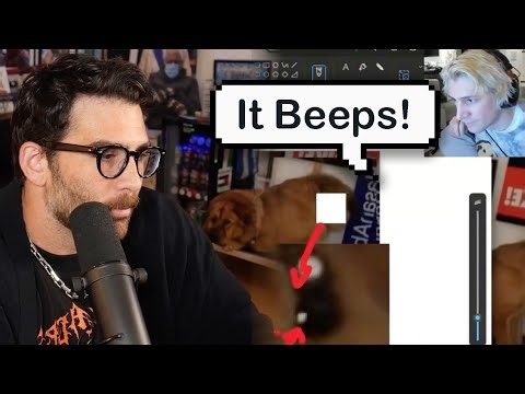 Hasan Responds to Dog Allegation | xQc Exposes Shock Collar