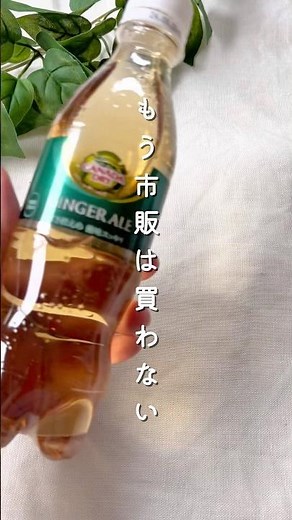 【意外と簡単】ジンジャーエール