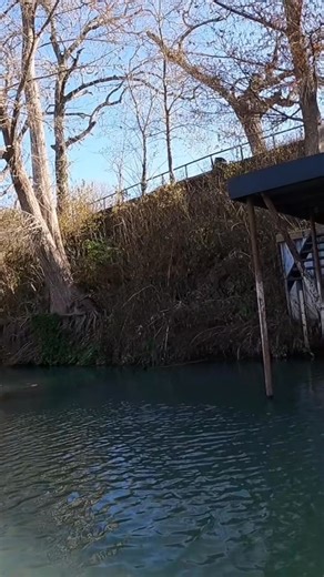 Been liking that live target frog lately…. | Fishing Frog