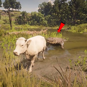 Crocodiles Attacks Indian Cow | RP. Gaming