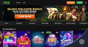 Wild Casino Review for 2026: An Expert’s Insight Into Wild Casino