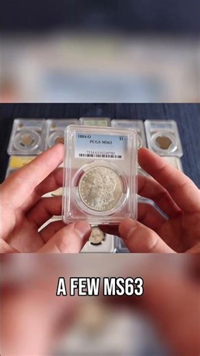 Amazing Morgan Dollar Reverse: Is This Coin A Steal?