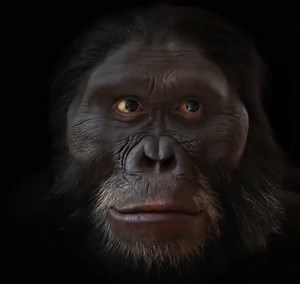 The Evolution Of Man's Face Over The Course Of 6 Million Years | DIY Home