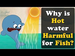 Why is Hot water Harmful for Fish? + more videos | #aumsum #kids #science #education #children