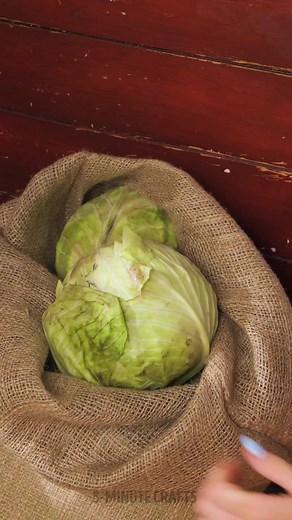 90K views · 173 reactions | Tips to extend the shelf life of your food 陋 | 5-Minute Crafts Family | Facebook