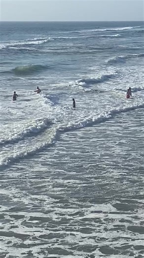 Beach Swimming Safety Tips from a Lifeguard