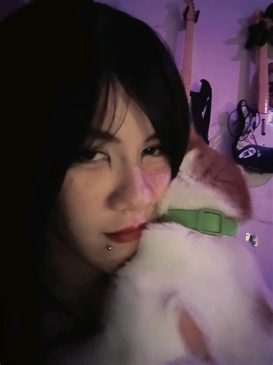 #sla #fyp #foryoupage #gato