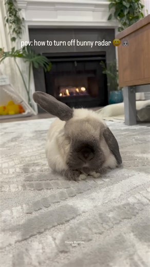 158K views · 1.8K reactions | How to turn off bunny radar ...