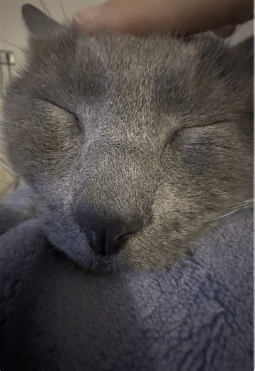 Pantro Hernandez on TikTok