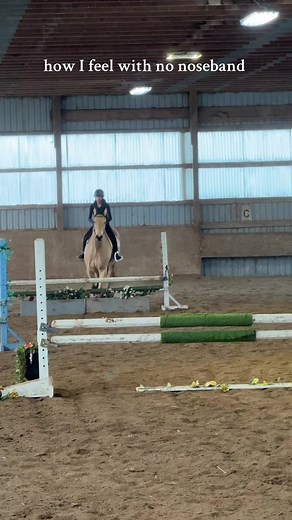professional cowgirl 🤠 #cowboy #yehaw #horse #hunterjumpers
