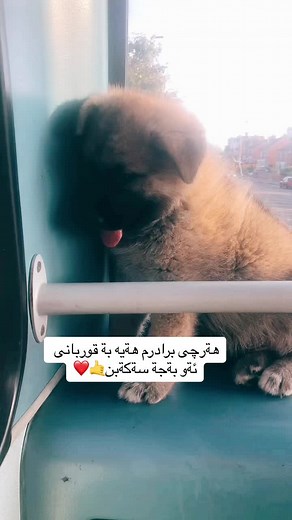 خيلاني☝️🔥 (@leeds2002)’s videos with