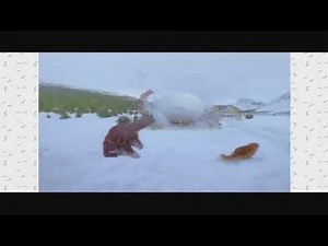Nickelodeon ID: "Snow" (2000)
