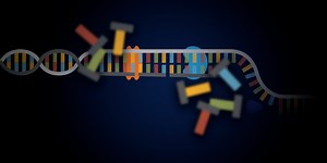 Sso7d Fusion Polymerase: A Review of What It Is and How It Helps PCR | Bio-Radiations