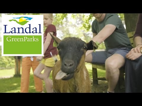 Landal Heideheuvel | Video bungalowpark | Beekbergen, Gelderland