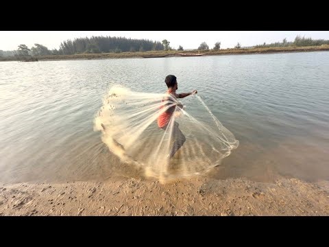 Fishing Net Video - Amazing Traditional Cast Net Fishing Village In River 