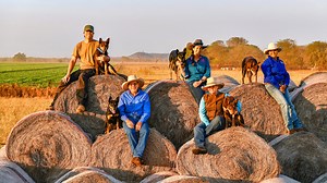 Muster Dogs | Netflix