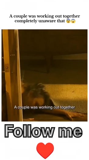 short_movie_7979 on Instagram: "This appears to be a clip from a user-generated viral video or prank, likely not a widely distributed movie or show, which is why detailed movie information is unavailable. The clip format strongly suggests a short-form video platform. ​🎬 Clip ​⭐ Genre: ​Comedy/Prank ​⏳ Runtime: ​Short Clip (likely < 1 minute) ​🌟 Rating: ​/10 (N/A for a short clip) ​☀️ Cast: ​Unknown couple and a person filming/interrupting ​📖 Brief Overview: ​The clip features a couple working