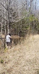 BLOW UP BEAVER DAM Tannerite #explosion #shooting #beaver #subscribe #sammoore138