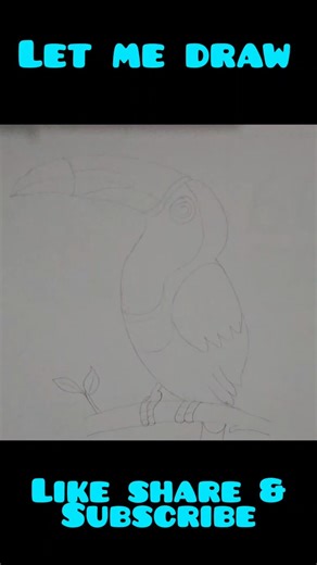 How to Draw a Toucan Step by Step | Easy Colored Pencil Drawing
