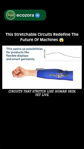 Stretchable Circuits That Feel Alive #Future #Tech #Science #Innovation