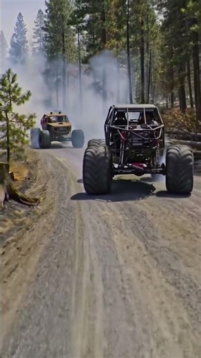 Monster Trucks Conquer Smoky Forest Trails! 🔥 Extreme Off-Road Action