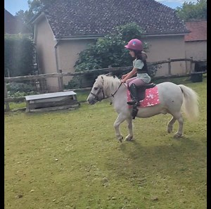 37K views · 2.2K reactions | Verity's little ray of sunshine, the beautiful Mr Blue, what an incredible summer they are having together. As Verity's mother, I am so happy to simply see her happiness when she is with Blue. But as her instructor, I am so proud of how far her riding has come over these last few months. | The Pony Pals Family Storybooks | Facebook