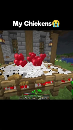 Minecraft Chickens 😭