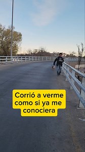 1.1M views · 89K reactions | Un perrito corrió a verme entusiasmado como si ya me conociera, fue algo muy especial | La Ranita de Nogales | Facebook